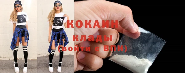 тгк Богородицк