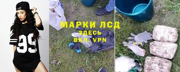 стаф Богородск