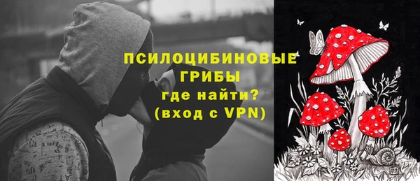 а пвп мука Бородино