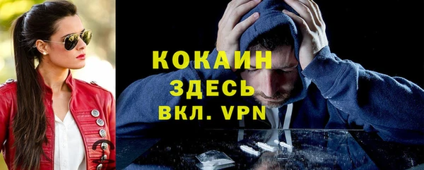 тгк Богородицк