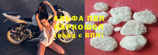 стаф Богородск