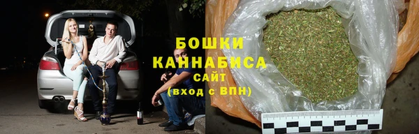 стаф Богородск